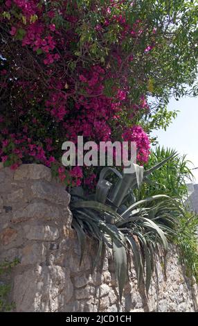 Vue sur le village de montagne Megalo Chorio, Tilos, Dodécanèse, Rhodes, Grèce Banque D'Images
