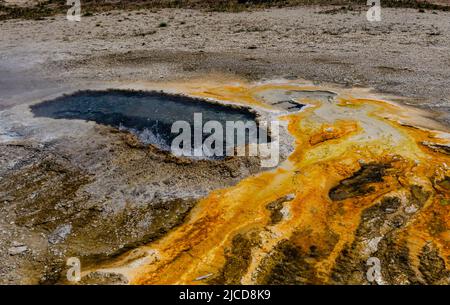 Tapis algues-bactéries. Source thermale chaude, piscine chaude dans le parc national de Yellowstone. ÉTATS-UNIS Banque D'Images