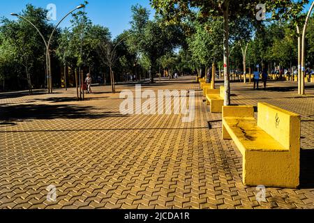 Macarena, Séville, Espagne -- 11 juin 2022. Un gros plan du parc Alameda de Hercules dans la région de Macarena à Séville, en Espagne. Banque D'Images