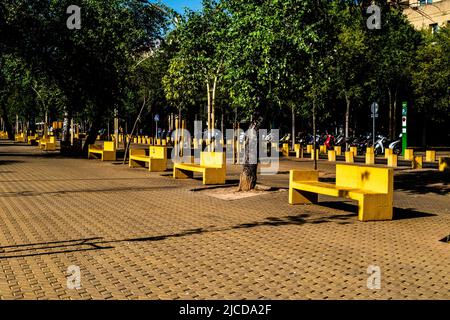 Macarena, Séville, Espagne -- 11 juin 2022. Un gros plan du parc Alameda de Hercules dans la région de Macarena à Séville, en Espagne. Banque D'Images