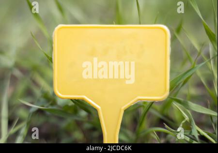 Marqueur de jardin en plastique jaune indiquant une plante dans le jardin. Étiqueter le jardin pour le marquage. Une plaque réutilisable est conçue pour afficher des informations sur p Banque D'Images