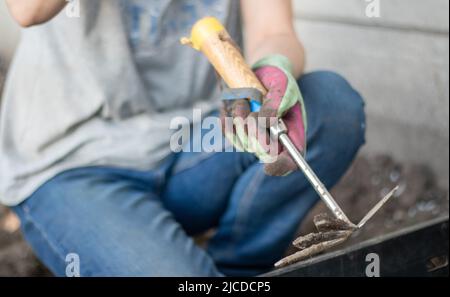 Le jardinier ramasse le sol pour la plantation. Travailler dans le jardin. Les mains des femmes en gants tiennent un outil de jardin et se desserrent le sol, prenant soin et poussent Banque D'Images