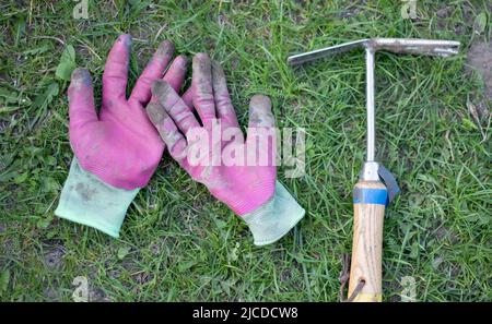 Outils de jardin, petites râteaux et gants roses sur le sol et herbe verte. Espace de travail et de copie. Gants de travail de fermier ou de jardinier, petit râteau de jardin Banque D'Images