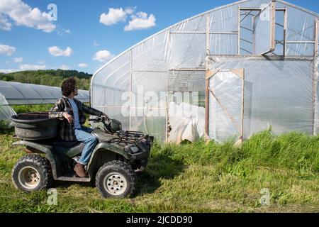 Un jeune agriculteur de race blanche conduit un véhicule tout-terrain pour inspecter une serre de potager sur une ferme biologique. Farmer regarde de nouveau la caméra. Vert Banque D'Images