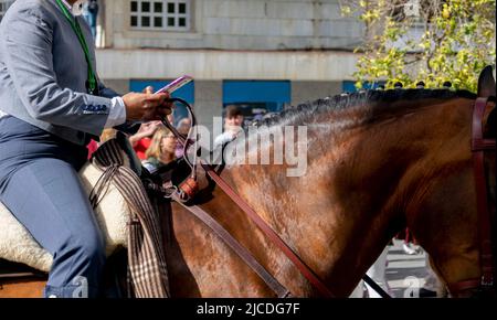 Détail de la main d'un cavalier manipulant son mobile dans la traditionnelle sortie de la fraternité de Rocío de Huelva en Espagne Banque D'Images