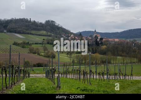 Vue de la colline avec vignoble en premier plan à la ville de Castell en Bavière avec l'église Johannes en arrière-plan. Banque D'Images
