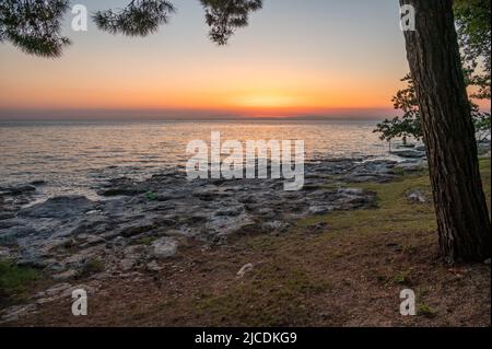 Vue spectaculaire sur le coucher du soleil depuis la forêt côtière de pins. Banque D'Images