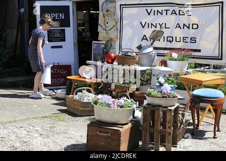 Le marché de Haynes Lane s'étend autour d'Antenna Studios, un centre artistique en plein air, à côté de la rue à la mode Westow Street à Crystal Palace, dans le sud de Londres, au Royaume-Uni Banque D'Images