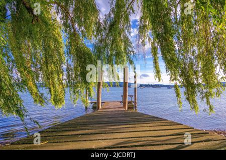 Jetée en bois sur la rive du lac de Constance en été avec soleil et ciel bleu Banque D'Images