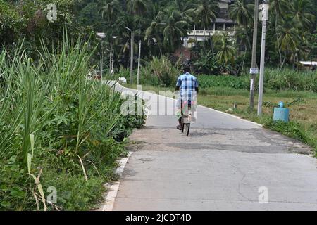 Horana, district de Kalutara, Sri Lanka février 25 2022: Un homme mature pédalant un vélo sur une route en béton une vue de l'arrière Banque D'Images