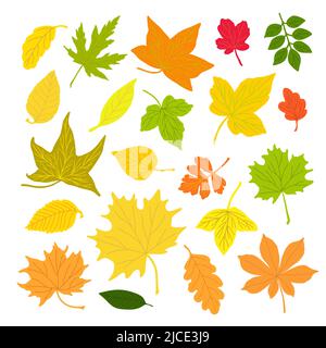 Ensemble de feuilles d'automne simple vecteur concept minimaliste illustration de style plat, multicolore main dessinés éléments floraux naturels ensemble pour invitations, cartes de voeux, livret, décoration de vacances d'automne Illustration de Vecteur