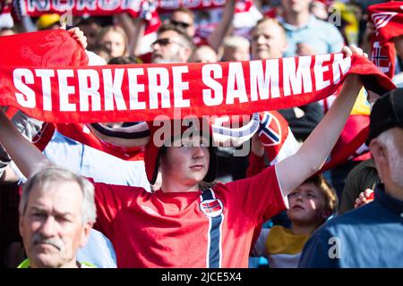 Oslo, Norvège. 12th juin 2022. Un fan de football norvégien a été vu sur les tribunes lors du match de l'UEFA Nations League entre la Norvège et la Suède à Ullevaal Stadion à Oslo. (Crédit photo : Gonzales photo/Alamy Live News Banque D'Images