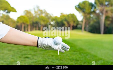 Main du golfeur mettant la balle de golf du tee sur le vert Banque D'Images