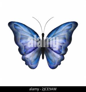 Aquarelle papillon bleu dessiné à la main isolé sur fond blanc. Banque D'Images