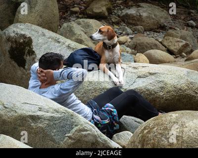 Cisneros, Antioquia, Colombie - 20 février 2022: Homme sud-américain assis dans un rocher avec son chien Banque D'Images