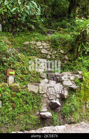 Machu Picchu, chemin vers la ville péruvienne de l'incan, site du patrimoine mondial de l'unesco, vallée sacrée, région de Cusco, Pérou Banque D'Images