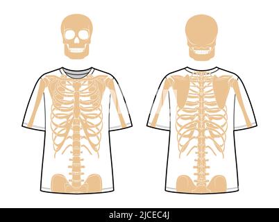 Ensemble de costume de squelette OS humains sur les t-shirts avant vue arrière hommes femmes, enfants pour imprimer sur des vêtements pour le jour de la mort plat beige concept de couleur naturelle Illustration vectorielle de l'anatomie isolée Illustration de Vecteur