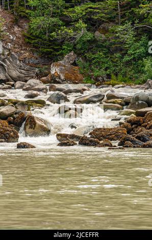 Skagway, Alaska, États-Unis - 20 juillet 2011 : bras Taiya au-dessus de l'anse Chilkoot. Gros plan sur le rivage où la cascade raps déverse de l'eau blanche dans l'entrée verte. Banque D'Images