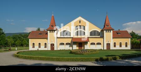 La ferme nationale de Stud à Topolcianky. Slovaquie. Le centre est connu comme étant l'un des plus importants centres de reproduction de toute l'Europe. Banque D'Images