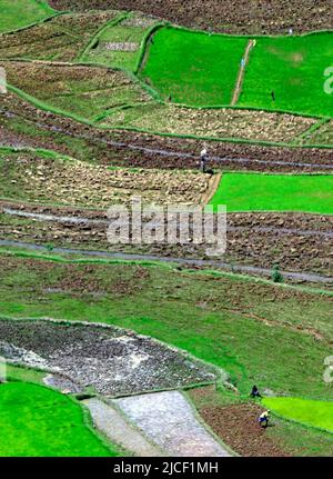 Paysages agricoles autour de la colline d'Ambohimanga, à la périphérie d'Antananarivo, Magagascar. Banque D'Images