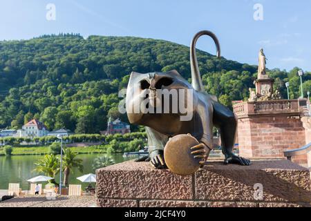 Heidelberg, Allemagne - 25 août 2021: Vue sur le "Heidelberger Brückenaffe". Une statue de singe avec un miroir à l'ancien pont. Banque D'Images