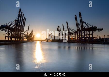 Coucher de soleil au terminal des conteneurs de Hambourg, port de Waltershof Banque D'Images