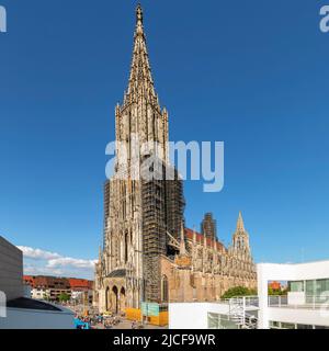 Minster à Münsterplatz, Ulm, Bade-Wurtemberg, haute-Souabe, Allemagne Banque D'Images