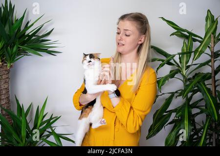 le chat n'aime pas être transporté par une jeune femme propriétaire d'animal de compagnie et a essayé de s'échapper Banque D'Images