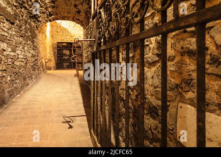 Cave à vin, Castello di Albola, Radda in Chianti, Chianti, province de Florence, Toscane, Italie Banque D'Images