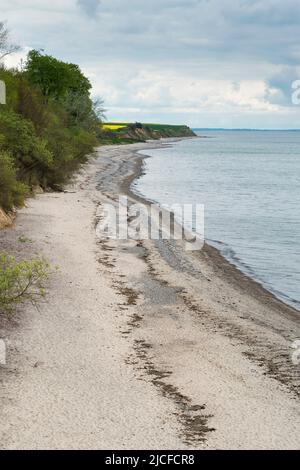 Allemagne, Schleswig-Holstein, Baie de Kiel, Mer Baltique près de Bülk, plage, vue du point de vue 'Eckernförder Bucht Banque D'Images