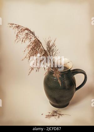 Pampas herbe dans un vase Banque D'Images