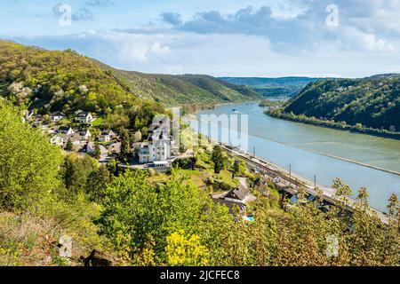 Vue panoramique sur la vallée du Rhin près de Kaub (Rhin moyen) le long du sentier de randonnée Rheinsteig, Banque D'Images