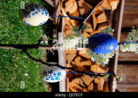 œufs de pâques peints sur un prunier en fleurs, printemps, printemps, pâques, jardin, haute-bavière, bavière, allemagne Banque D'Images