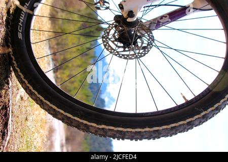 Excursion en vélo avec VTT sur la rivière Isar près de Krün, en Bavière. Allemagne, haute-Bavière, Isar Valley, vélo, Karwendel Mountains, Banque D'Images