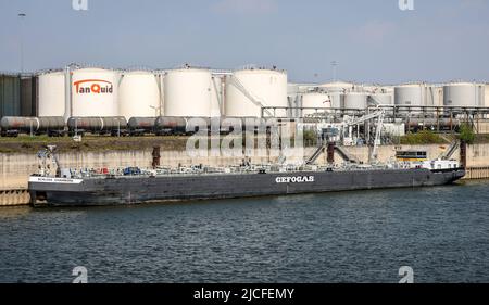 Duisburg, Rhénanie-du-Nord-Westphalie, Allemagne - Port de Duisburg, Duisburg Ruhrort, Oil Island, GefoGas Tanker au large de TanQuid pour les produits pétroliers minéraux, mazout, produits chimiques, produits pétrochimiques, produits biogènes, gaz liquide. Banque D'Images