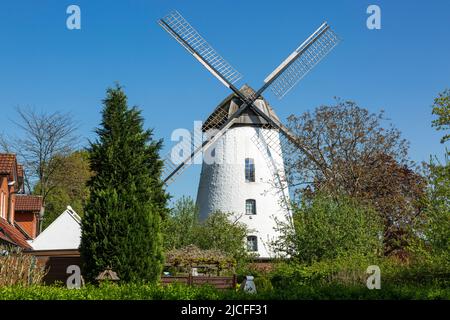 Allemagne, Senden (Westphalie), pays de l'Ouest, Westphalie, Rhénanie-du-Nord-Westphalie, NRW, Senden-Ottmarsbocholt, moulin à vent, Hollaenderwindmuehle, ancien moulin à maïs Banque D'Images