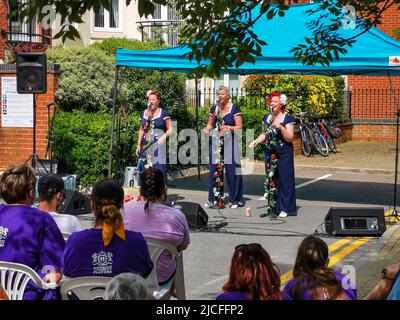 Christchurch, Royaume-Uni. 12th juin 2022. Highcliffe, Royaume-Uni. Dimanche 12 juin 2022. Des milliers de personnes participent au festival de la gastronomie et des arts de Highcliffe, dans le Dorset de Highcliffe. Concerts, stands de nourriture, stands d'artisanat. Credit: Thomas Faull/Alamy Live News Banque D'Images