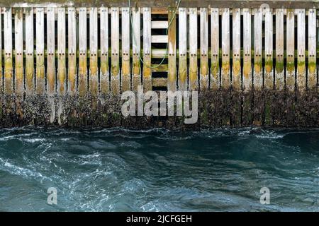 Norvège, Troms og Finnmark, Havøysund, jetée en bois dans le port. Banque D'Images