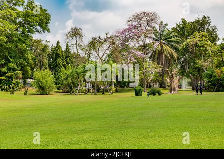 Parc avec topiaires d'animaux, Topiari, Bang Pa-in, Palais d'été de la famille royale, rivière Chao Phraya, province de Phra Nakhon si Ayutthaya, Thaïlande Banque D'Images