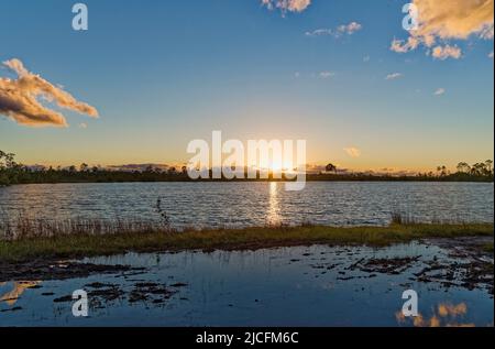 Coucher de soleil au lac Pine Glades. Le parc national des Everglades. Floride. ÉTATS-UNIS. Banque D'Images