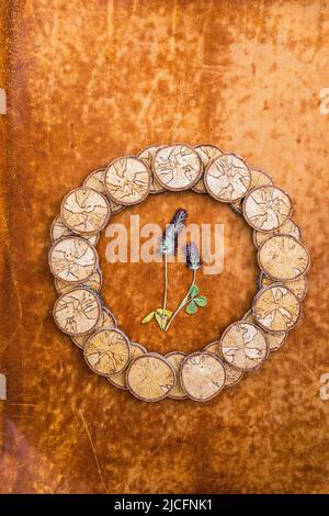 Cadre de disques en bois, décoration avec fleurs séchées, vie morte Banque D'Images