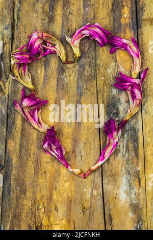 Forme de coeur des pétales d'hibiscus, encore la vie Banque D'Images