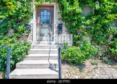 Porte en bois, mur en pierre, vignes, façade de maison, façade, Architecture, Wiesenapartheid, Franconie, Bavière, Allemagne, Europe Banque D'Images