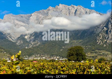 Vignoble de Chamoson en face des parois rocheuses du sommet du Haut de Cry, Chamoson, Valais, Suisse Banque D'Images