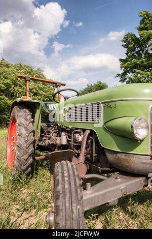 Michelstadt, Hesse, Fendt Dieselross Fix 2, type FL 120, année 1964, 19 ch, 1390 cc. Banque D'Images