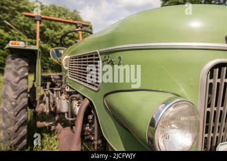 Michelstadt, Hesse, Fendt Dieselross Fix 2, type FL 120, année 1964, 19 ch, 1390 cc. Banque D'Images