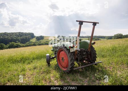 Michelstadt, Hesse, Fendt Dieselross Fix 2, type FL 120, année 1964, 19 ch, 1390 cc. Banque D'Images