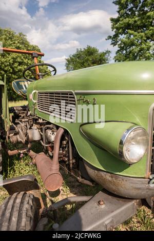 Michelstadt, Hesse, Fendt Dieselross Fix 2, type FL 120, année 1964, 19 ch, 1390 cc. Banque D'Images