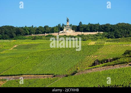 Allemagne, Hesse, Rheingau, Rüdesheim, Niederwalddenkmal, Germania, vignobles Banque D'Images