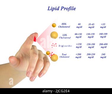 Gamme souhaitable de profil lipidique Banque D'Images